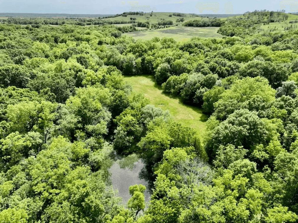 80+- Acres Wilson County, Kansas Southwest of Fredonia photo 2
