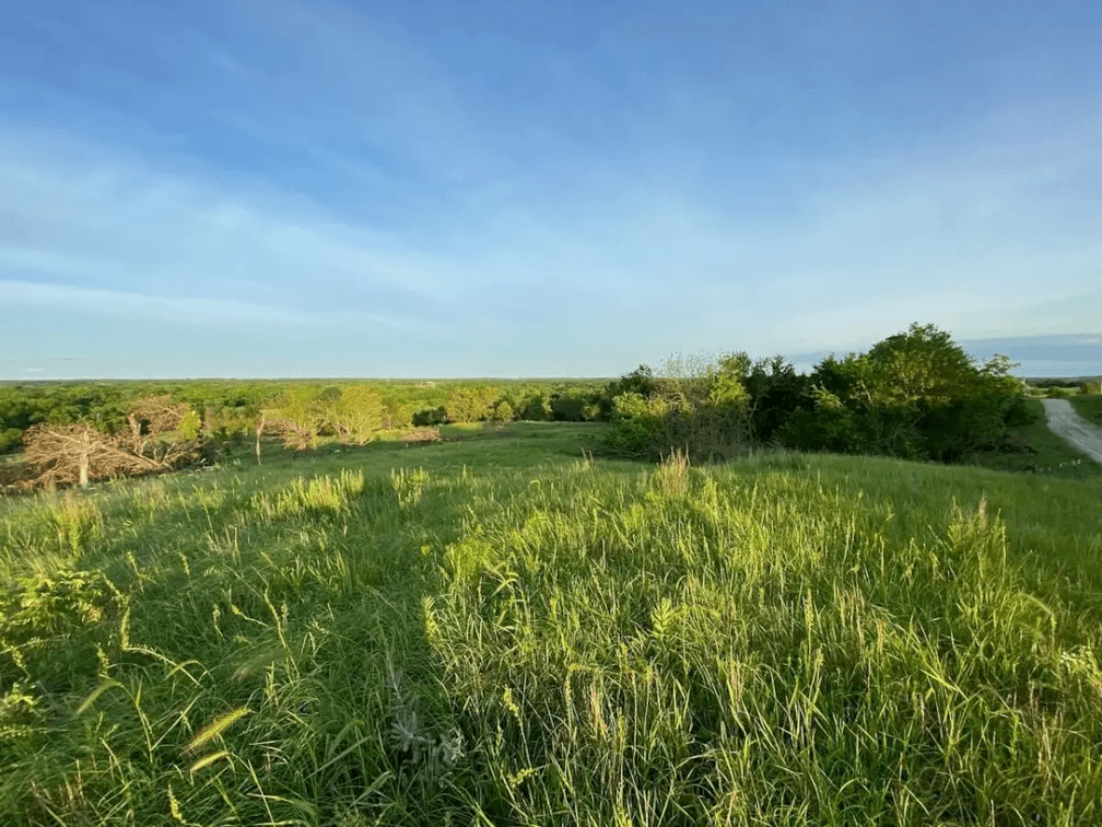 80+- Acres Wilson County, Kansas Southwest of Fredonia photo 4