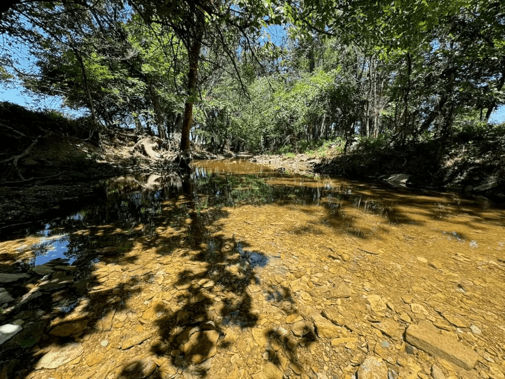 60+- Acres Northeast of Sedan in Chautauqua County, Kansas photo 4