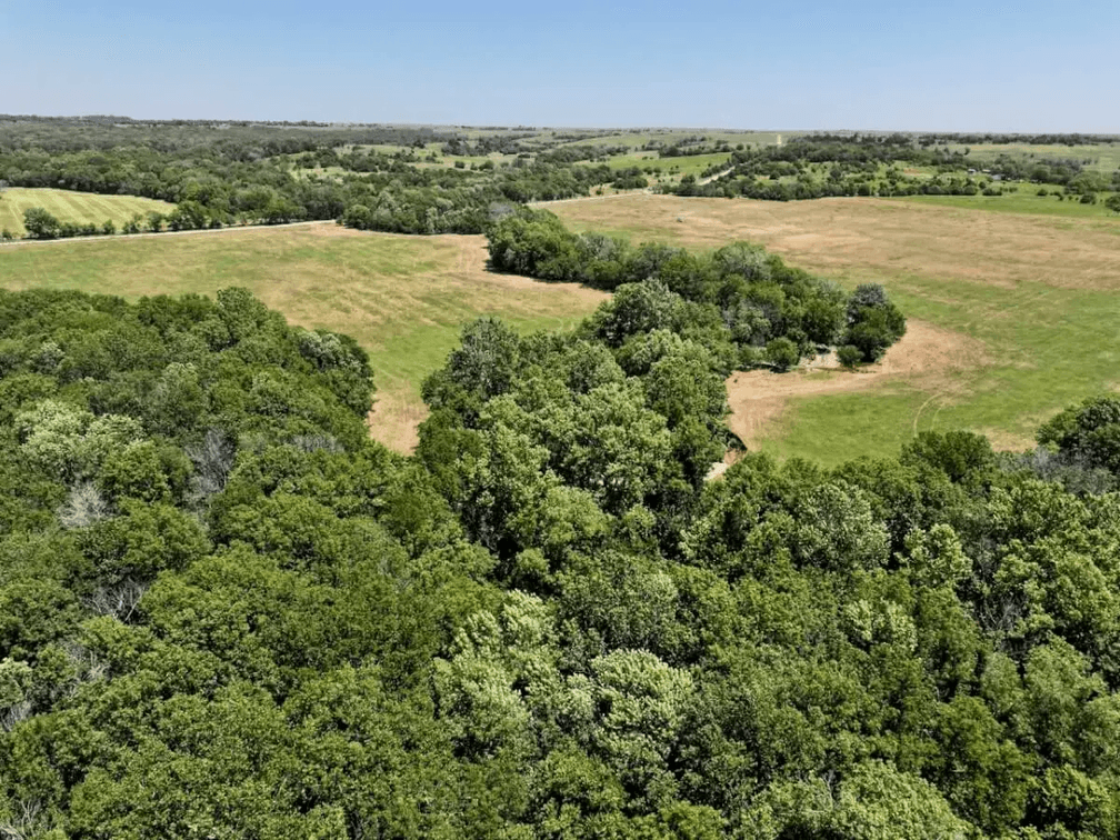 60+- Acres Northeast of Sedan in Chautauqua County, Kansas photo 5