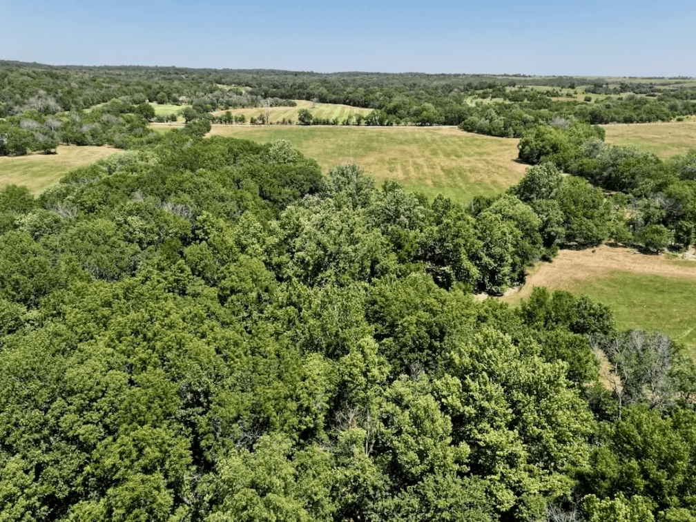 60+- Acres Northeast of Sedan in Chautauqua County, Kansas photo 6