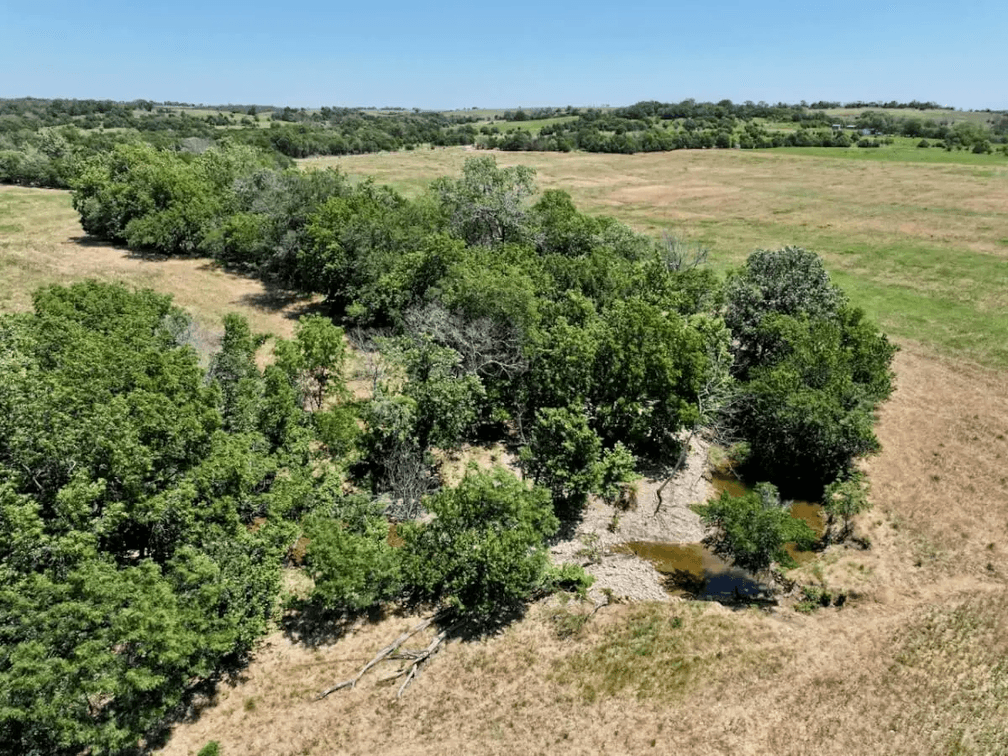60+- Acres Northeast of Sedan in Chautauqua County, Kansas photo 7