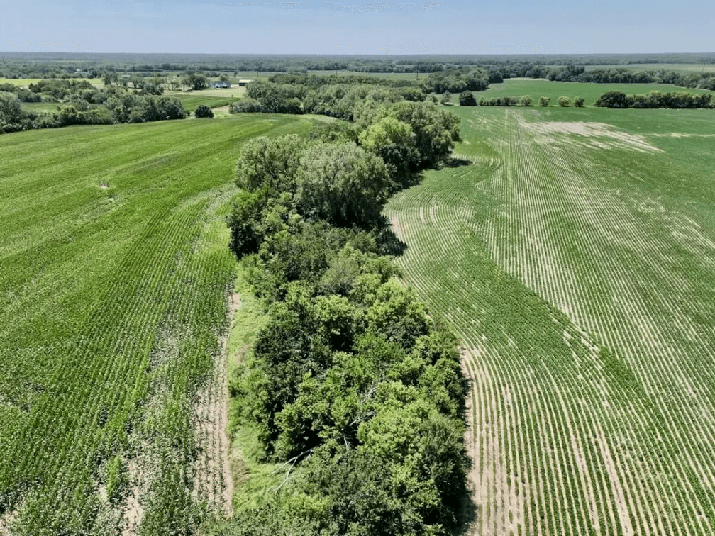 100.4 Acres Northwest of Towanda in Butler County, Kansas photo 5