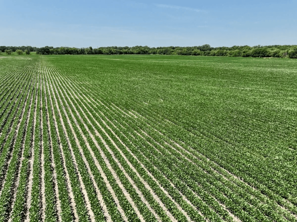 100.4 Acres Northwest of Towanda in Butler County, Kansas photo 9