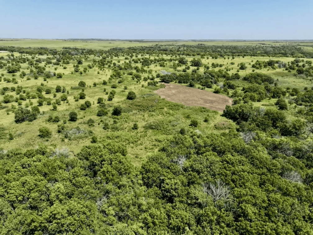 118.5 Acres on the Chautauqua & Elk County Line near Moline, Kansas – Premium Hunting & Fishing photo 2