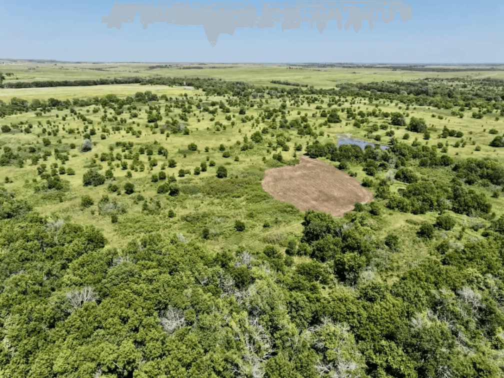 118.5 Acres on the Chautauqua & Elk County Line near Moline, Kansas – Premium Hunting & Fishing photo 5