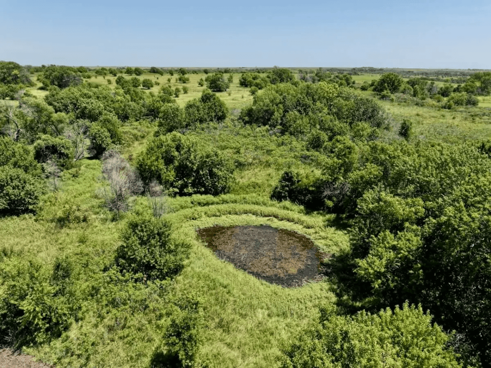 118.5 Acres on the Chautauqua & Elk County Line near Moline, Kansas – Premium Hunting & Fishing photo 9