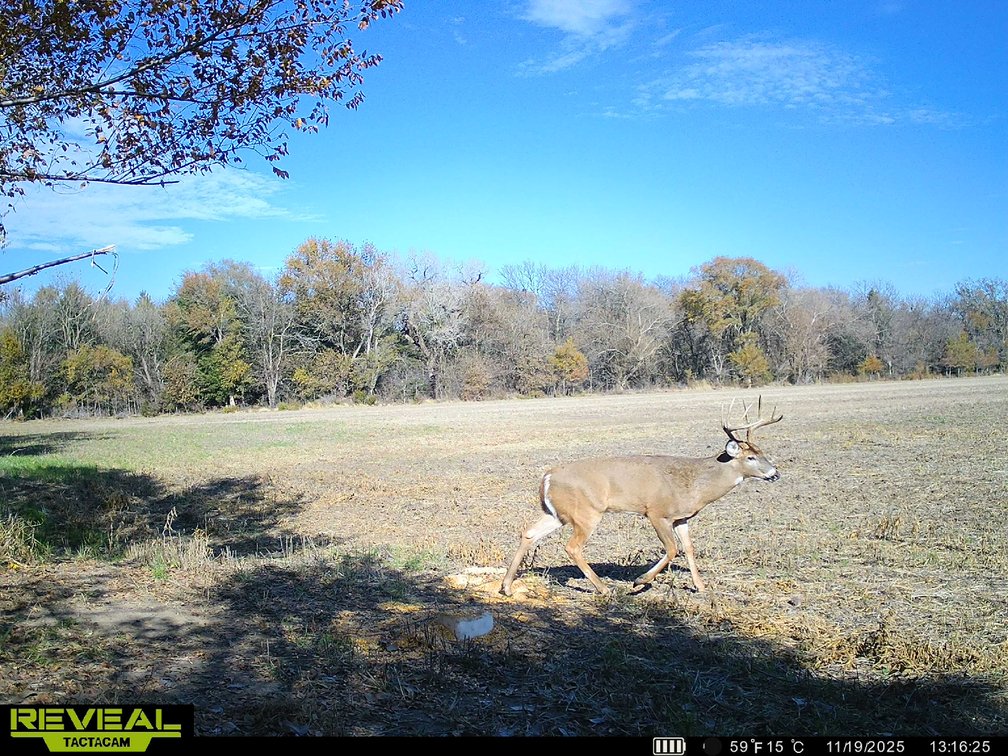 64+- Acres Tillable, Creek & Trees! West of Newton in Harvey County, Kansas photo 10