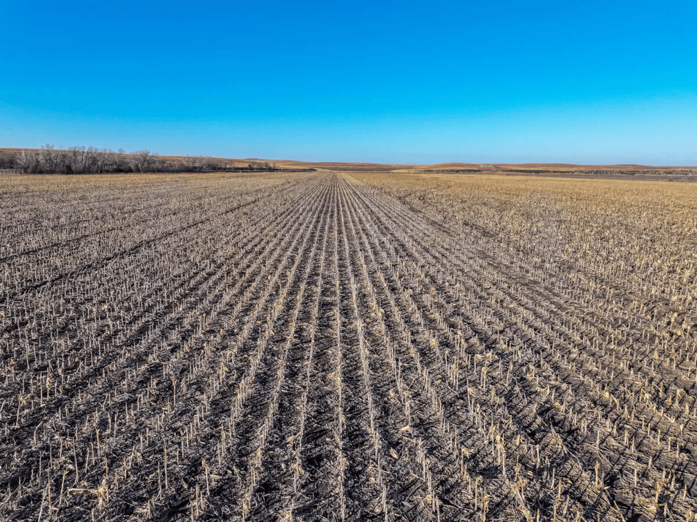 80+- Acres Chase County Kansas Land For Sale photo 2
