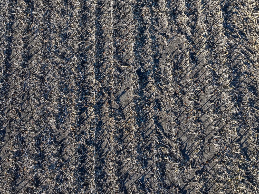 80 Acres Marion County, Kansas Tillable Farmland Near Hillsboro photo 8