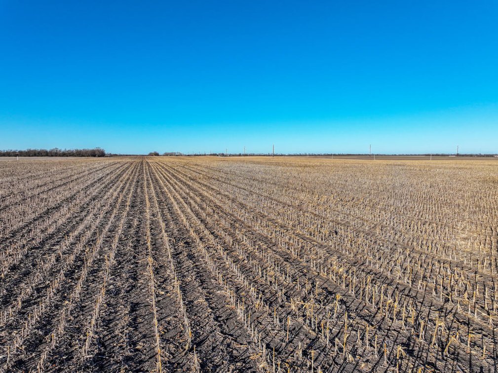 80 Acres Marion County, Kansas Tillable Farmland Near Hillsboro photo 9