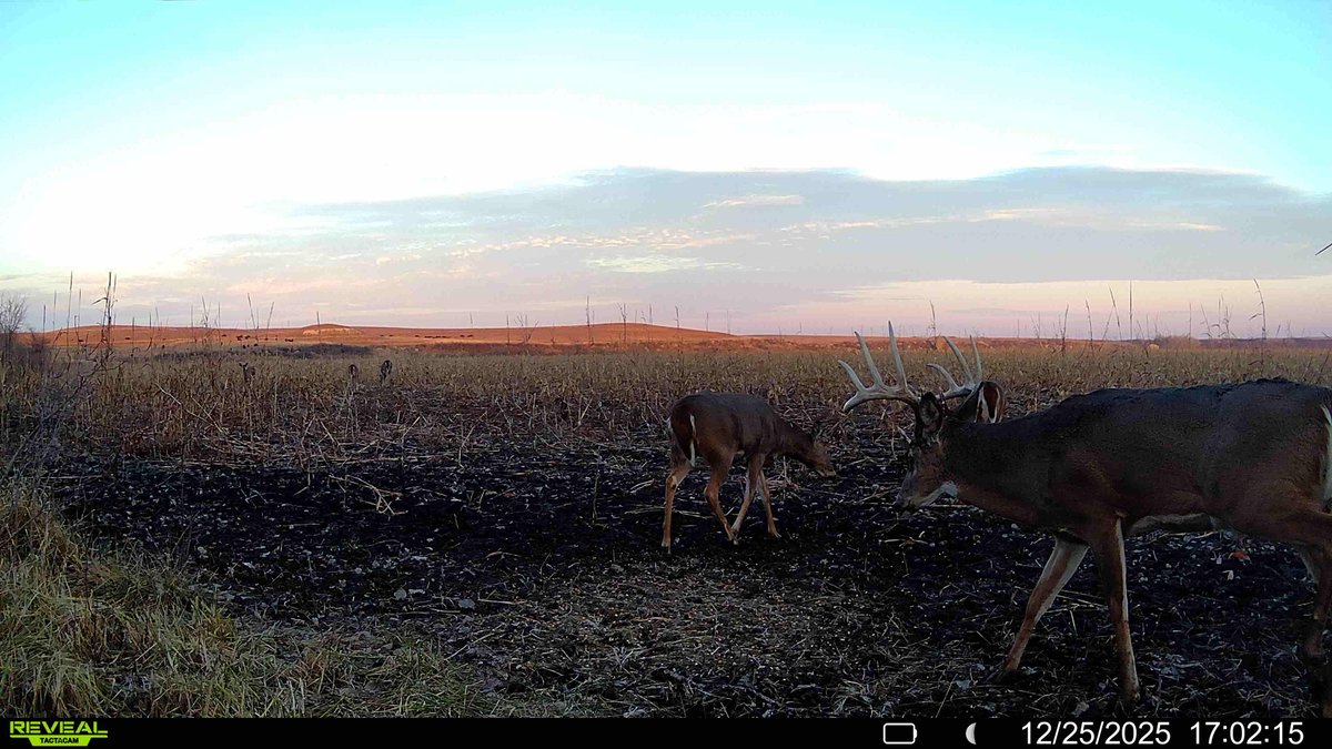 80+- Acres Chase County Kansas Land For Sale photo 10