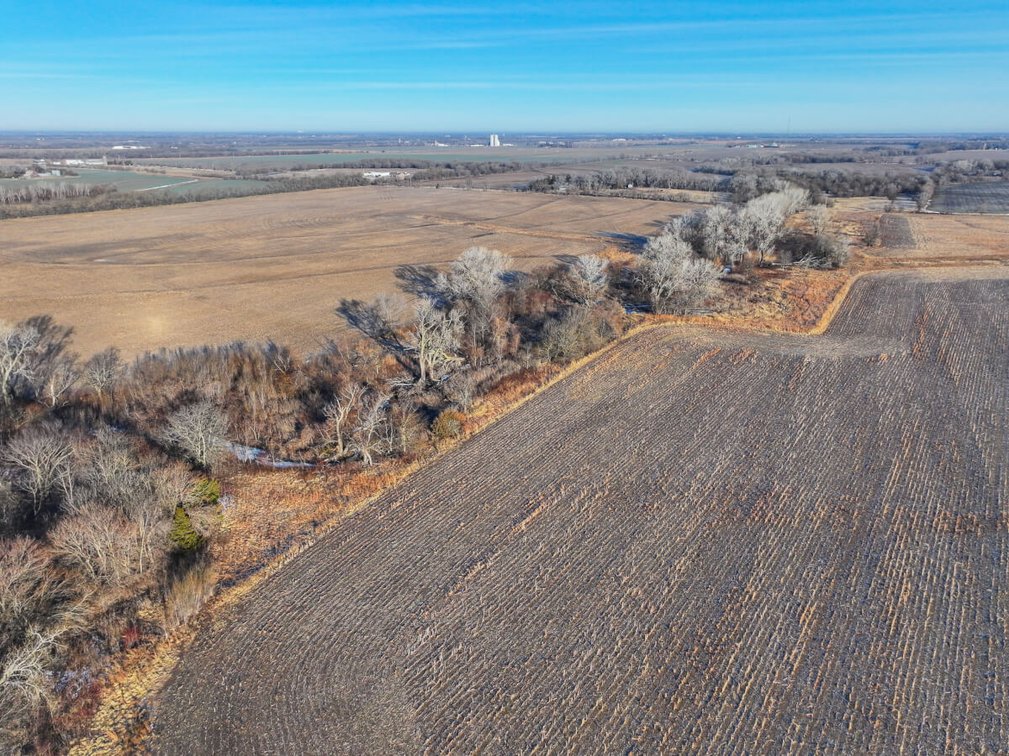 156.5 Acres Tillable, Trees & Wildlife Northwest of Clearwater, Sedgwick County, Kansas photo 5