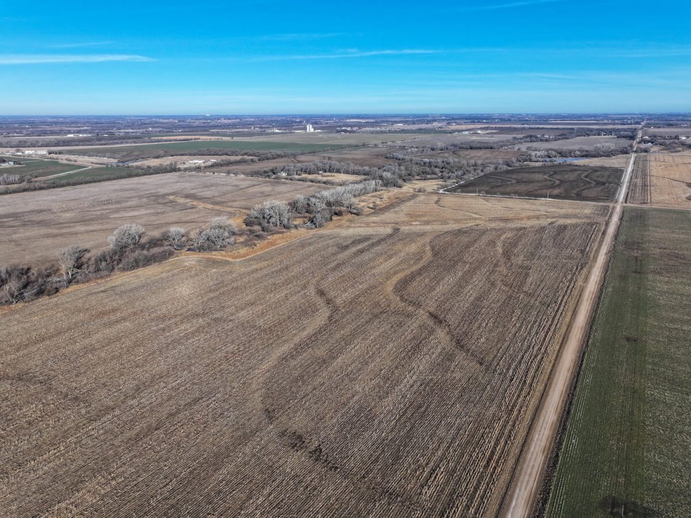 156.5 Acres Tillable, Trees & Wildlife Northwest of Clearwater, Sedgwick County, Kansas photo 4