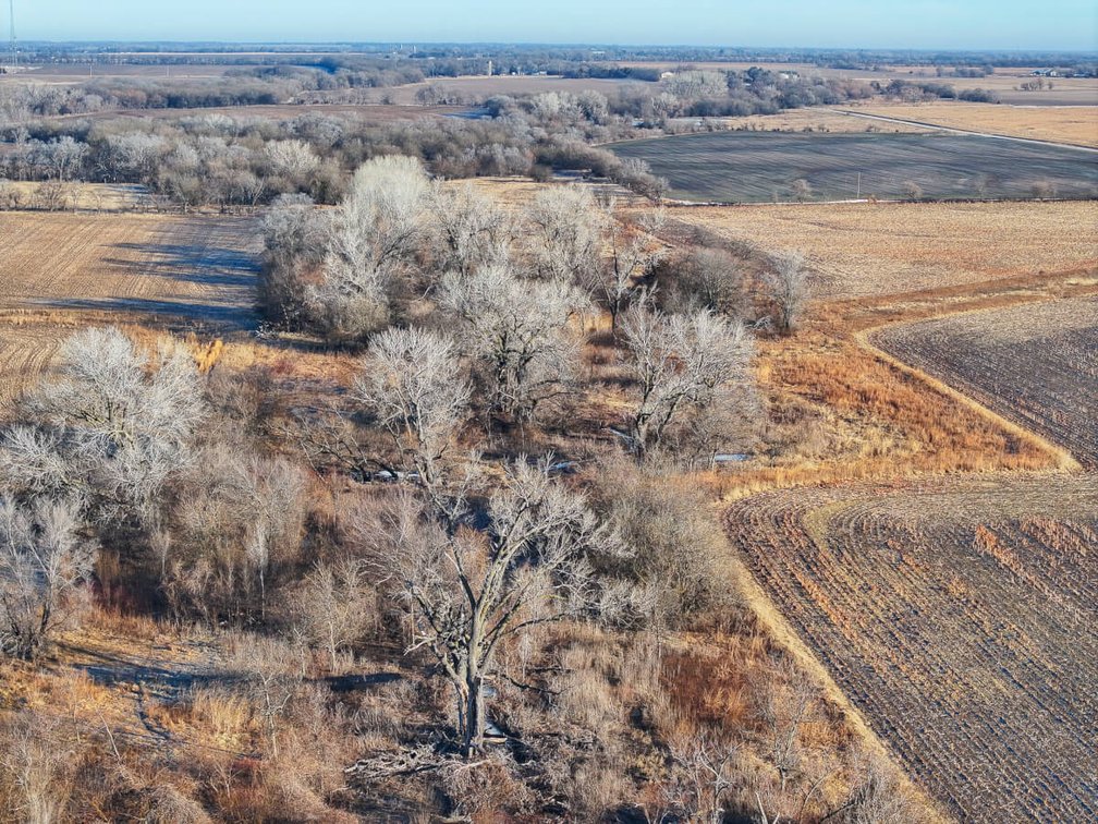 156.5 Acres Tillable, Trees & Wildlife Northwest of Clearwater, Sedgwick County, Kansas photo 10