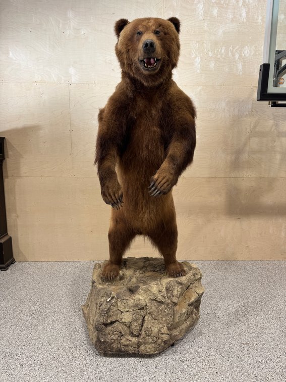 Silver, Guns, Taxidermy, Autographed Baseballs, Sporting Goods and More photo 2