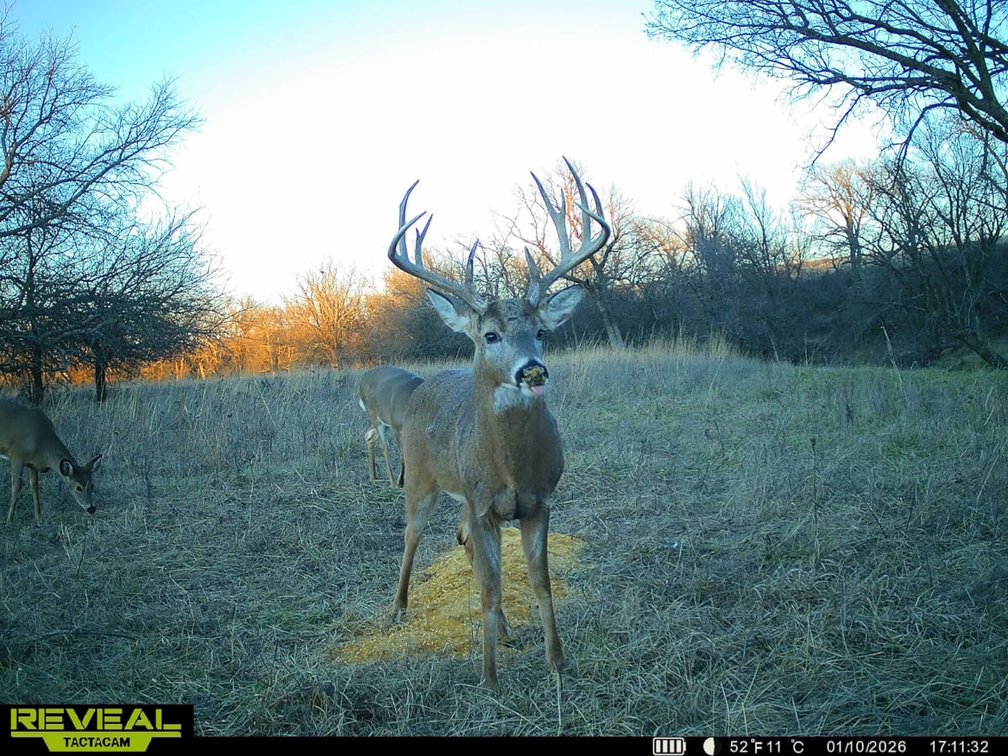 160+- Acres Chase County, Kansas Land – Flint Hills Pasture, Creek & Limestone Cabin photo 5