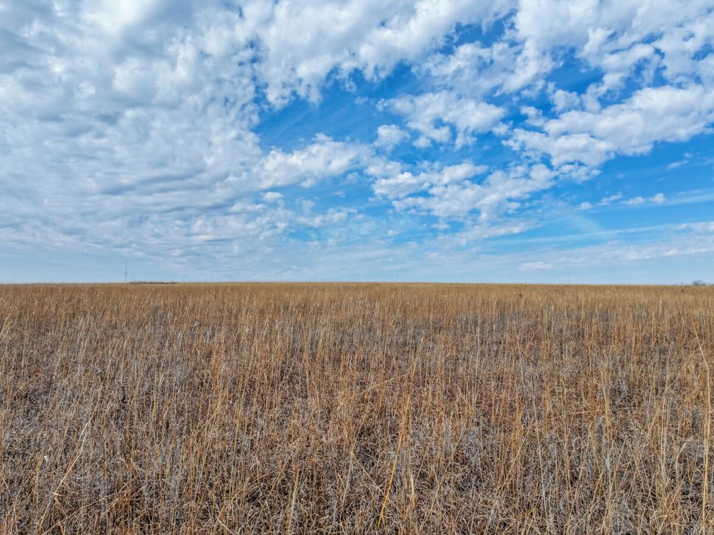 160+- Acres Chase County, Kansas Land – Flint Hills Pasture, Creek & Limestone Cabin photo 7