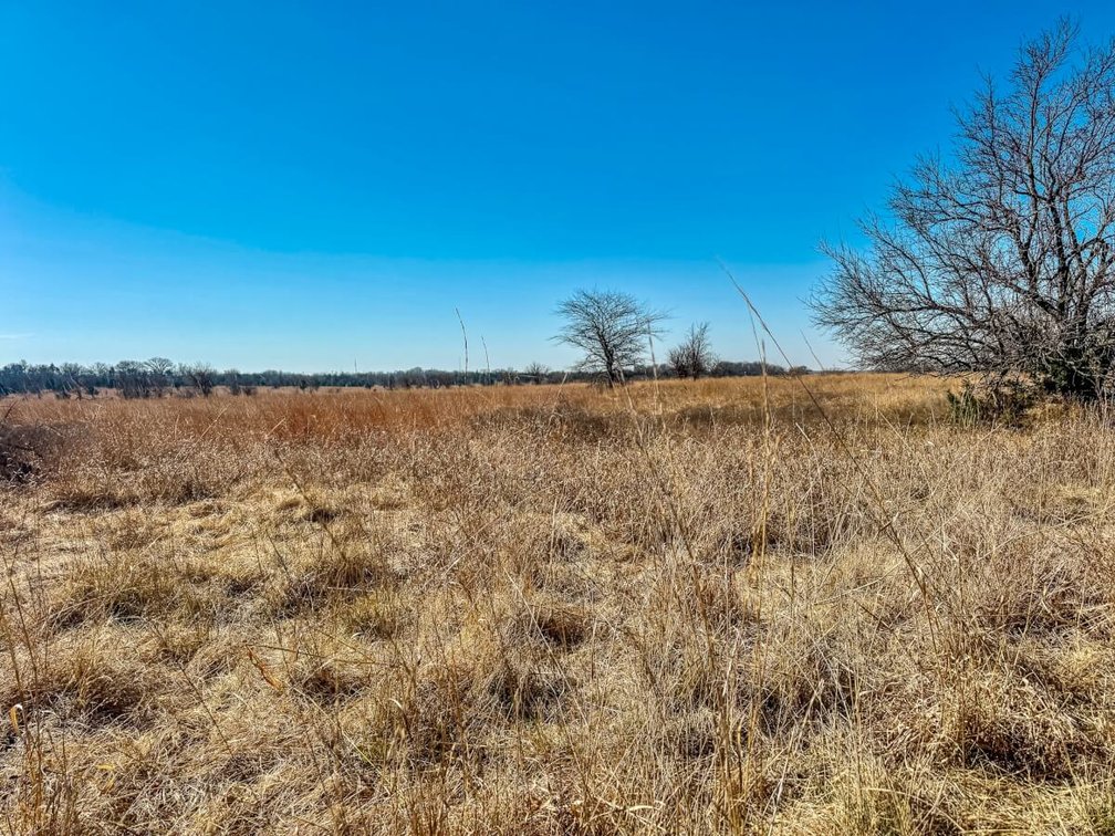 80+- Acres Between Towanda & El Dorado, KS – Pasture, Trees & Oil Income photo 5