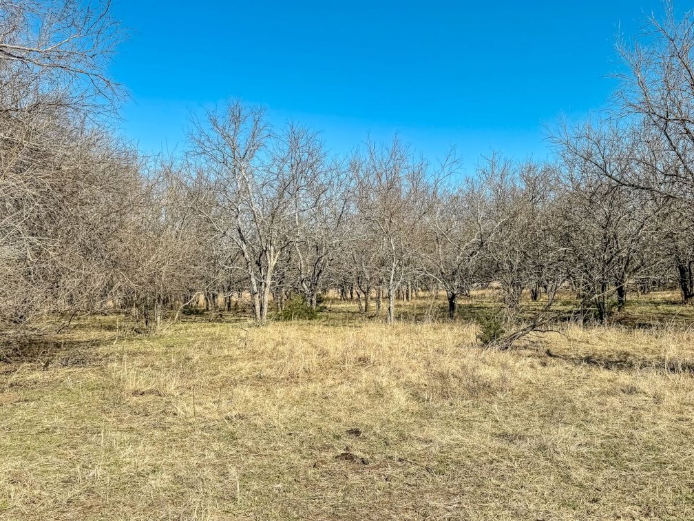80+- Acres Between Towanda & El Dorado, KS – Pasture, Trees & Oil Income photo 8