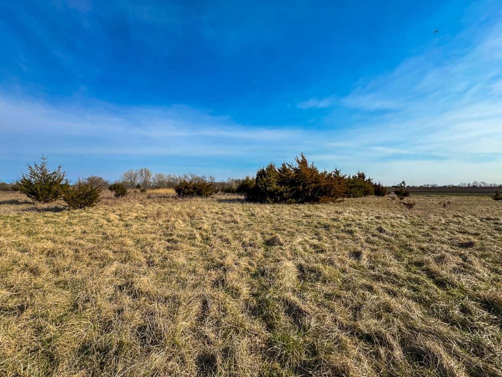 108+- Acres at HWY 254 & 127th St East, Sedgwick County, Kansas photo 4