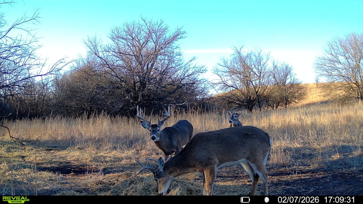 472.5 Acres in Cowley County, Ks – Watershed Lake, Pasture, Trees & Hills photo 6