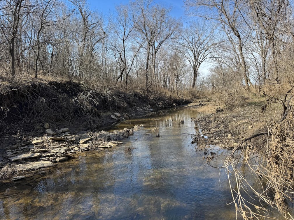 156+- Acres Greenwood County, Kansas – Pasture, Pond, Trees, Creek & Hills photo 6