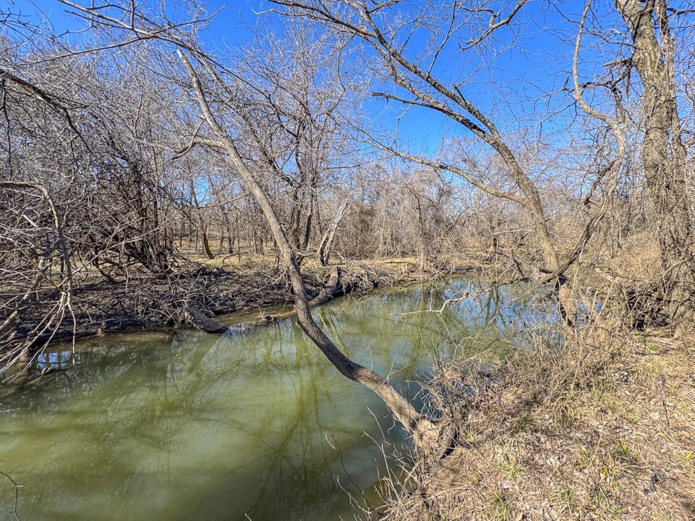 156+- Acres Greenwood County, Kansas – Pasture, Pond, Trees, Creek & Hills photo 9