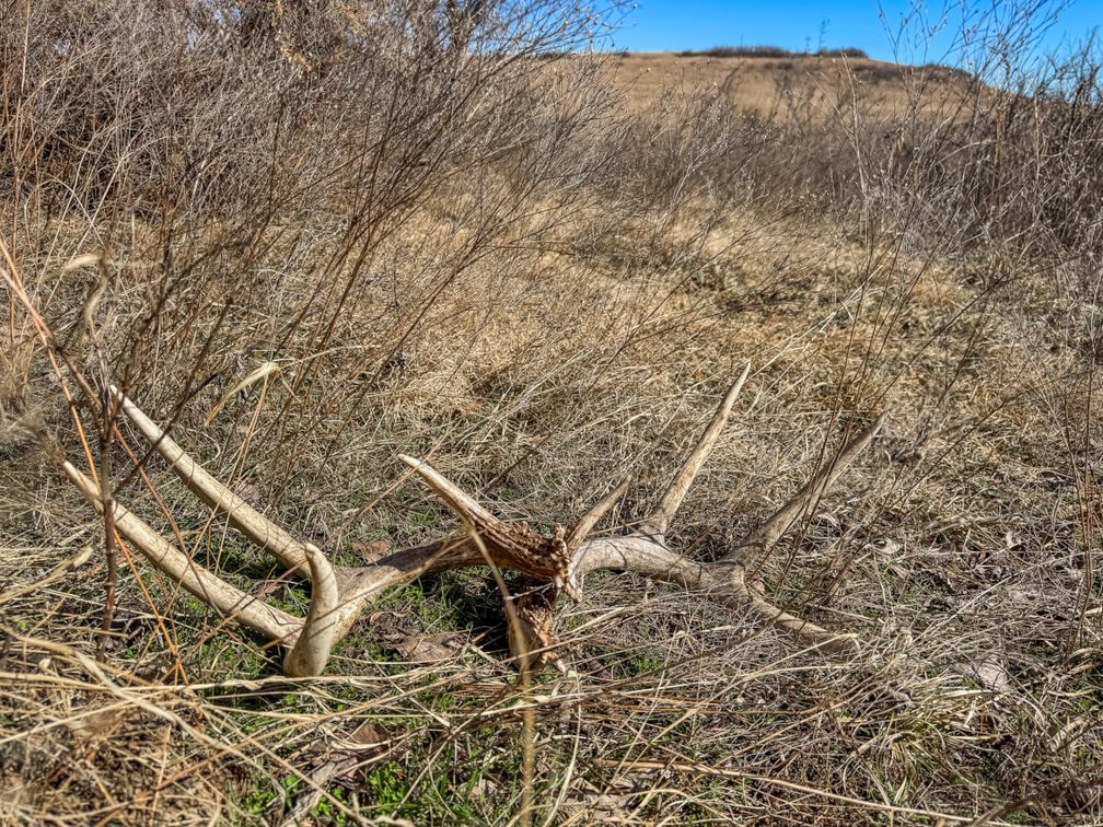 156+- Acres Greenwood County, Kansas – Pasture, Pond, Trees, Creek & Hills photo 10