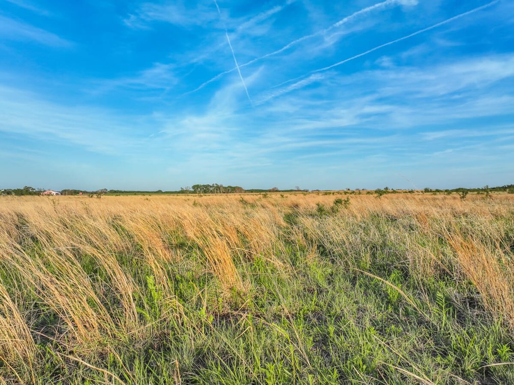 158+- Acres Pasture, Pond, Trees & Water Well – Reno County, Kansas photo 8