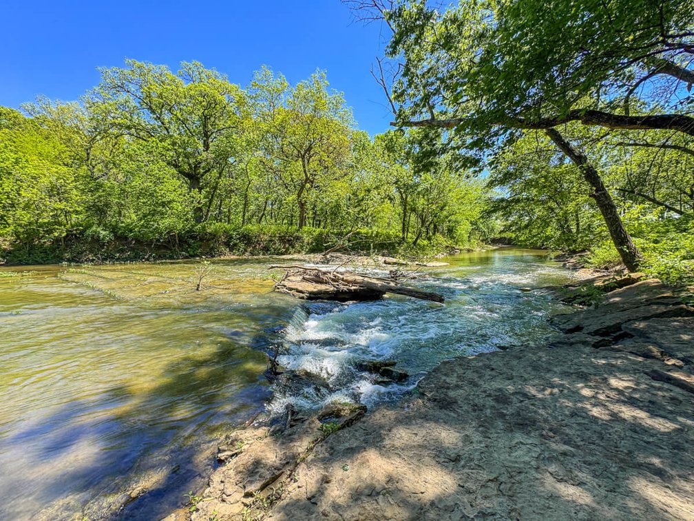 75.6 Taxable Acres w/ Elk River, Tillable Farm Ground & Heavy Timber – Elk County, Kansas photo 5