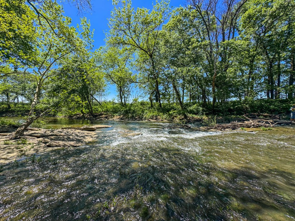 75.6 Taxable Acres w/ Elk River, Tillable Farm Ground & Heavy Timber – Elk County, Kansas photo 9