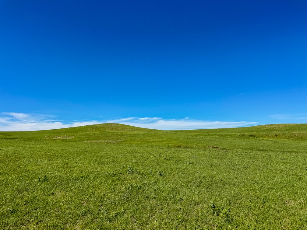 Chase County, Kansas Flint Hills Ranch – 828 Acres Pasture, Ponds, Springs & Creeks photo 7