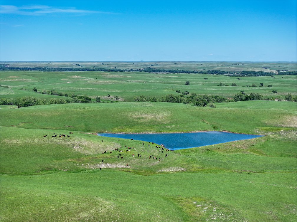 Chase County, Kansas Flint Hills Ranch – 828 Acres Pasture, Ponds, Springs & Creeks photo 5
