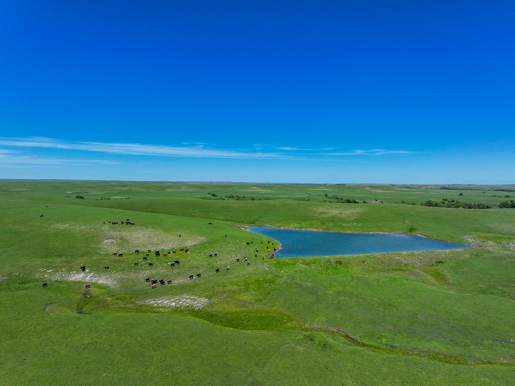 Chase County, Kansas Flint Hills Ranch – 828 Acres Pasture, Ponds, Springs & Creeks photo 8