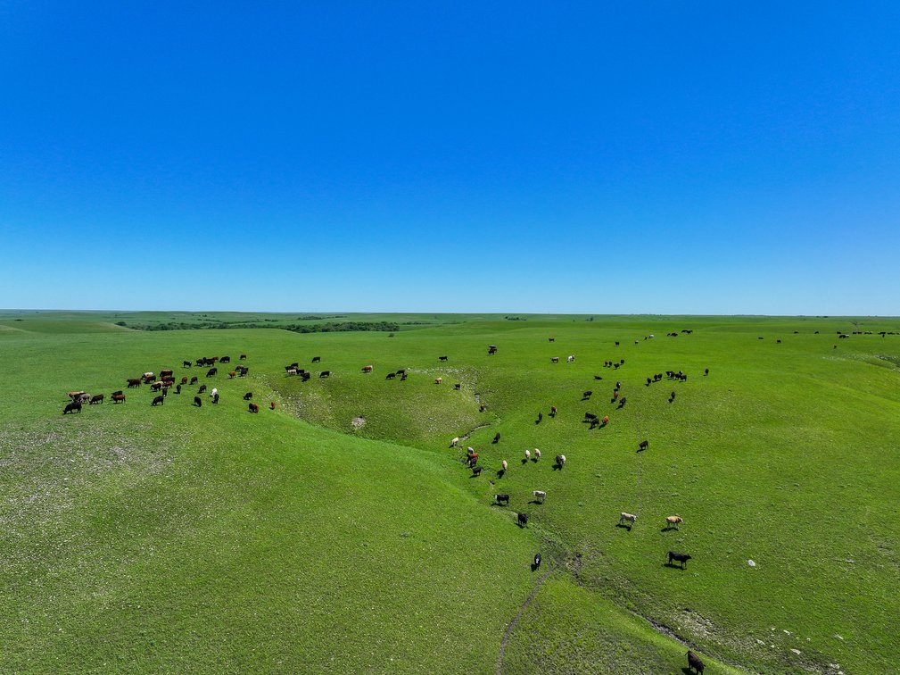 Chase County, Kansas Flint Hills Ranch – 828 Acres Pasture, Ponds, Springs & Creeks photo 2