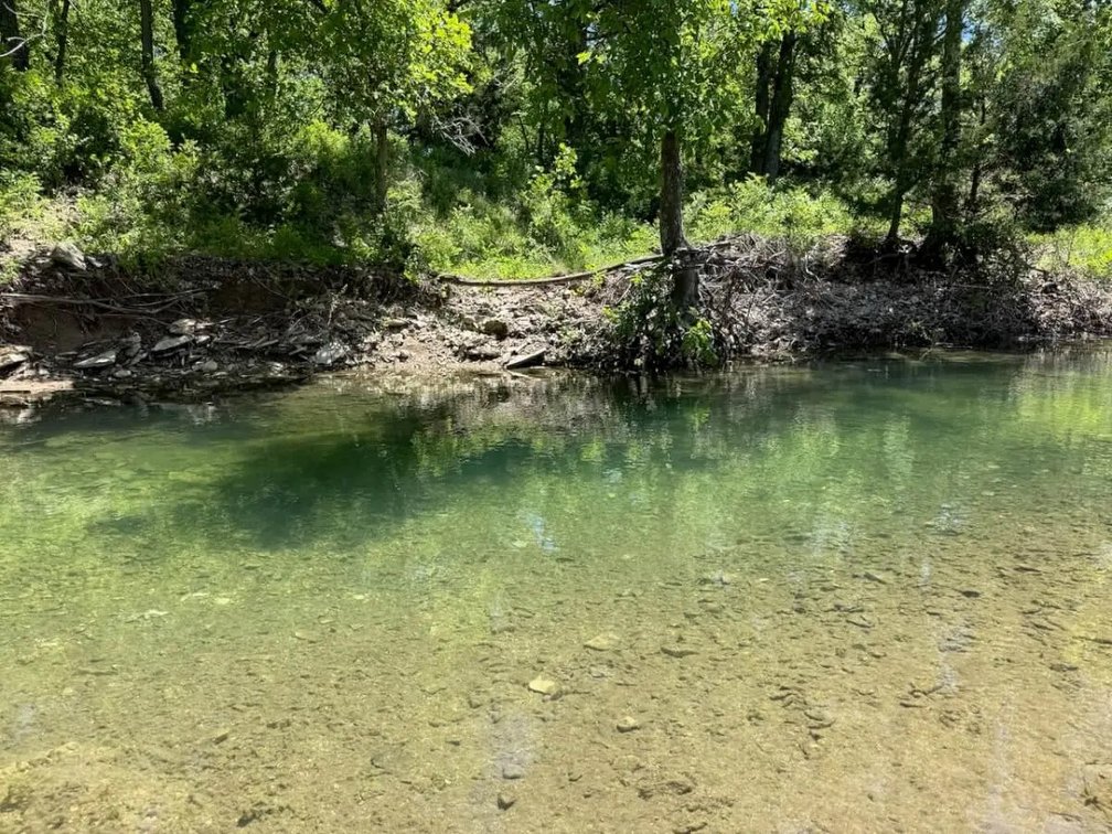 Chase County, Kansas Flint Hills Ranch – 828 Acres Pasture, Ponds, Springs & Creeks photo 6