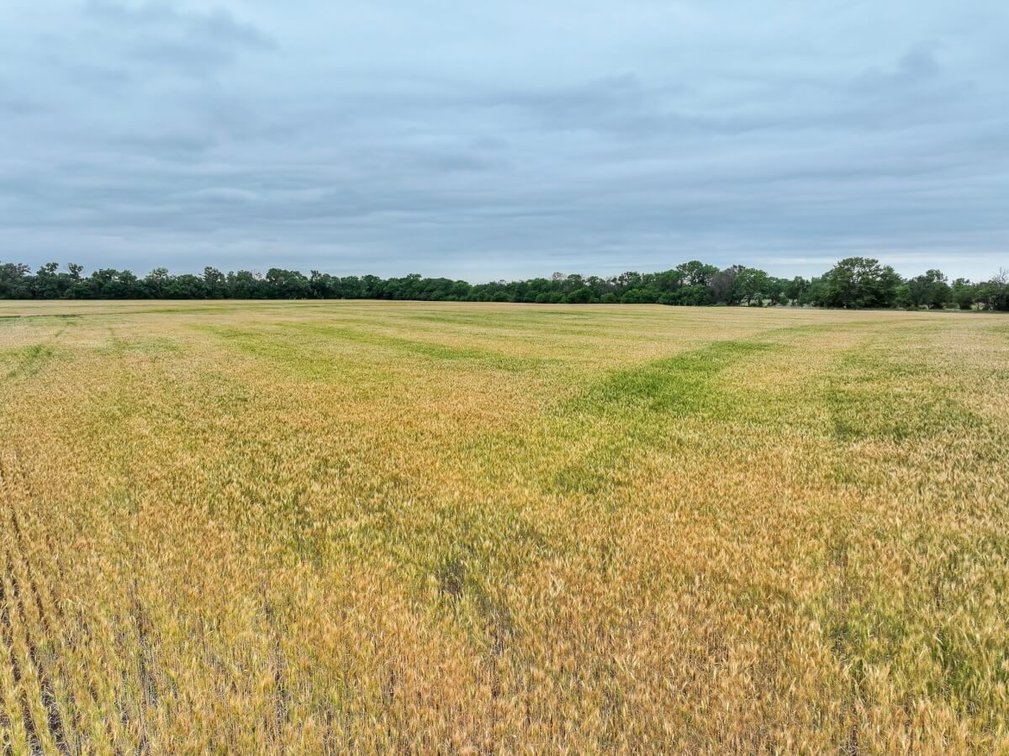 74 Acres Tillable Farm Ground Near Atlanta in Cowley County, Kansas photo 4