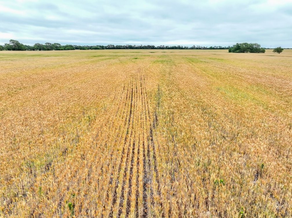 74 Acres Tillable Farm Ground Near Atlanta in Cowley County, Kansas photo 6