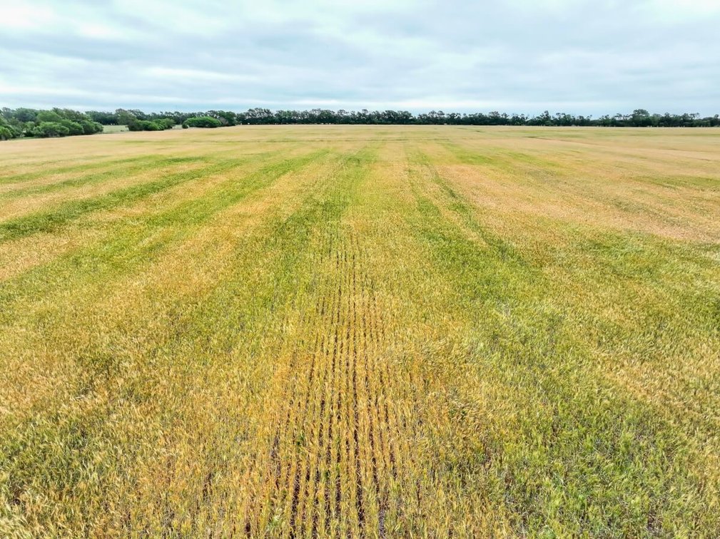 74 Acres Tillable Farm Ground Near Atlanta in Cowley County, Kansas photo 7