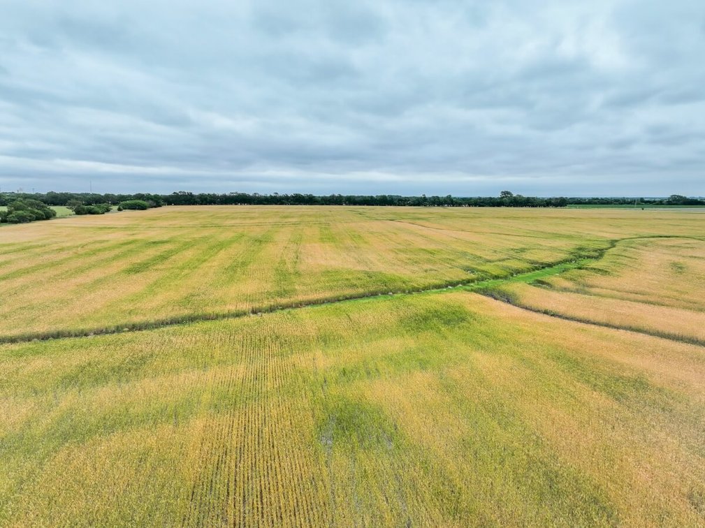 74 Acres Tillable Farm Ground Near Atlanta in Cowley County, Kansas photo 10