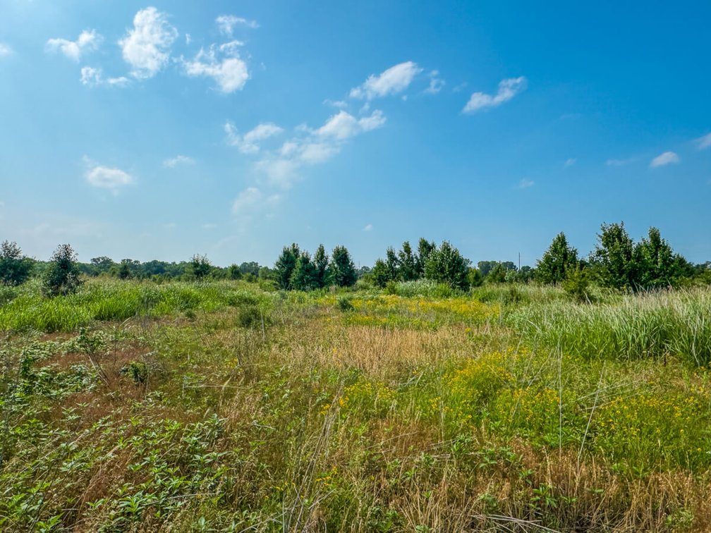 18+- Acres of Investment Land in Southwest Wichita, Kansas photo 4