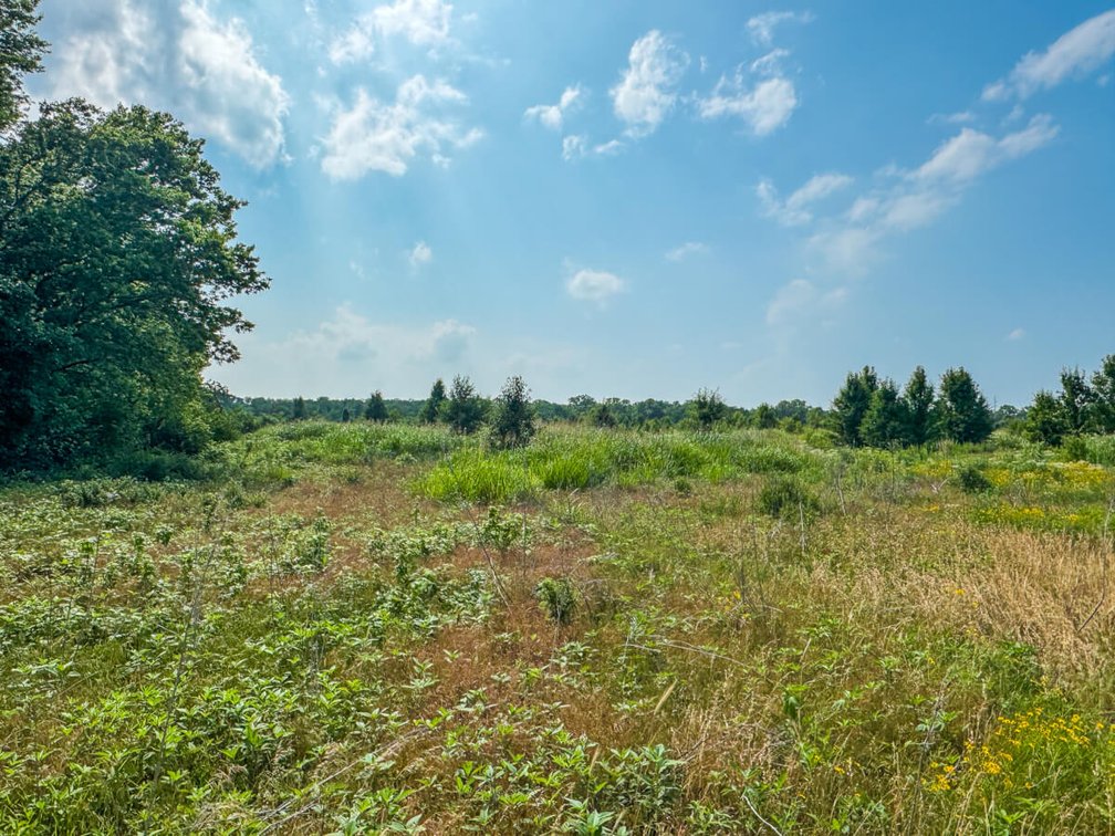 18+- Acres of Investment Land in Southwest Wichita, Kansas photo 5