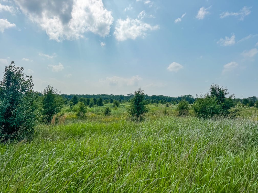 18+- Acres of Investment Land in Southwest Wichita, Kansas photo 6