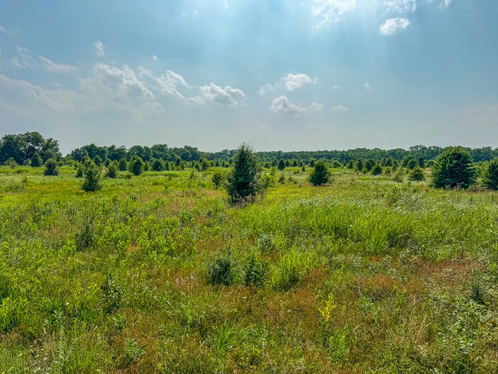 18+- Acres of Investment Land in Southwest Wichita, Kansas photo 8