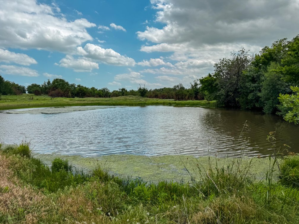40 Acres: Pond, Trees, Pasture and Farm Ground North of El Dorado, Kansas photo 3