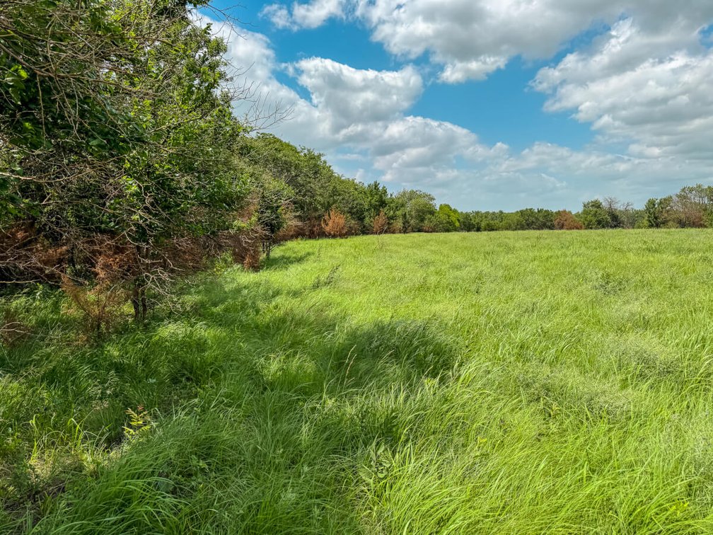 40 Acres: Pond, Trees, Pasture and Farm Ground North of El Dorado, Kansas photo 5