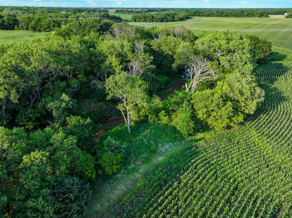 33.4 Acres Near Benton, Butler/Sedgwick County Line: Whitewater Creek, Trees & Farm Ground photo 7