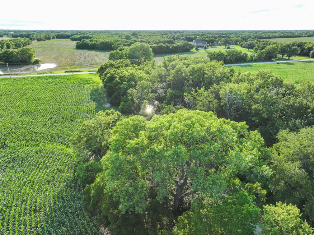 33.4 Acres Near Benton, Butler/Sedgwick County Line: Whitewater Creek, Trees & Farm Ground photo 6