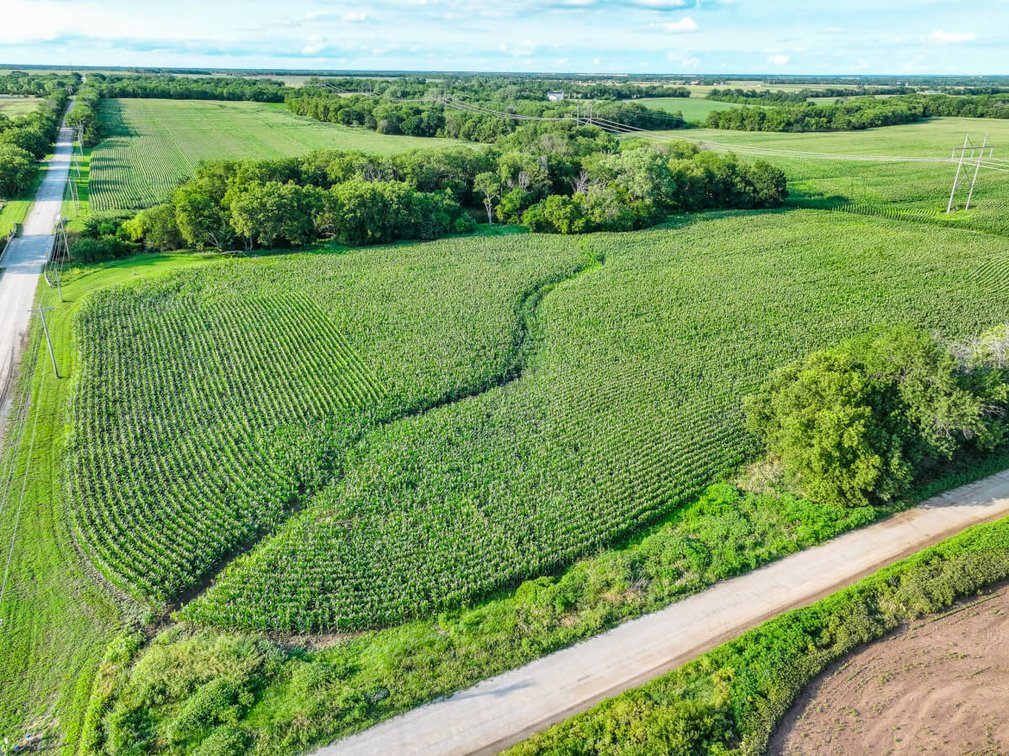33.4 Acres Near Benton, Butler/Sedgwick County Line: Whitewater Creek, Trees & Farm Ground photo 5